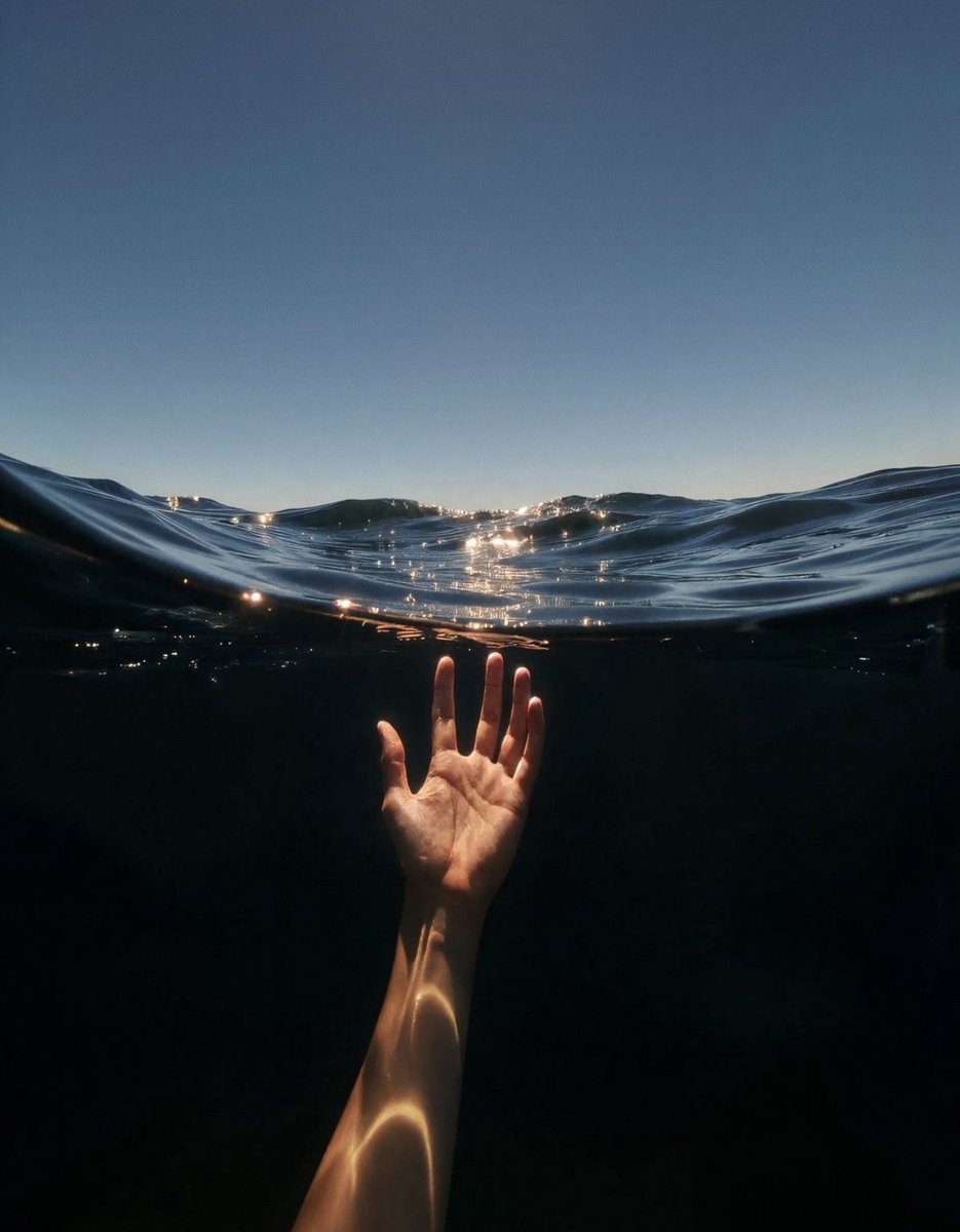 Libs on Social 🫂 (@libsonsocial) on Twitter photo 