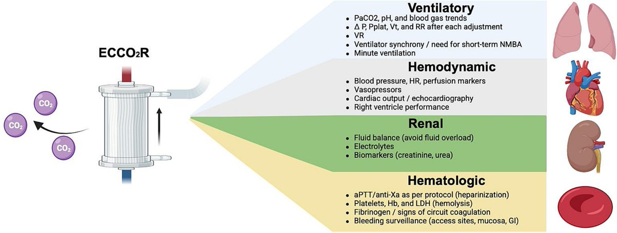 What every intensivist should know about extracorporeal CO₂ removal in ARDS

CCR Journal Watch 
criticalcarereviews.com/latest-evidenc…