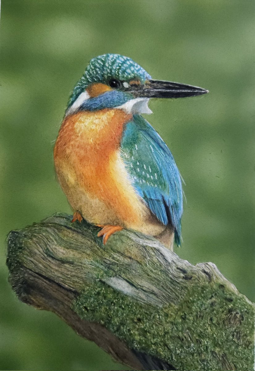 そんな感じの色鉛筆画 (@sonnakanjidesu) / Posts / X