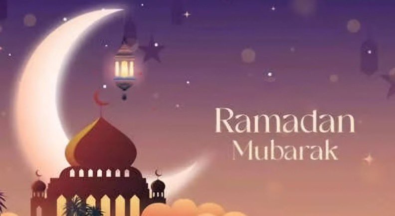 Stewart Cook 🌍 tweet media