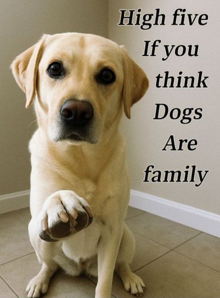 💜🇺🇸TraceyLee🇺🇸💜 tweet media