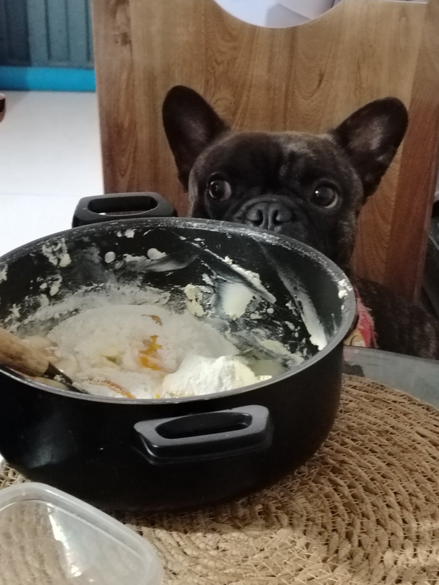 Puchi🐕🦇