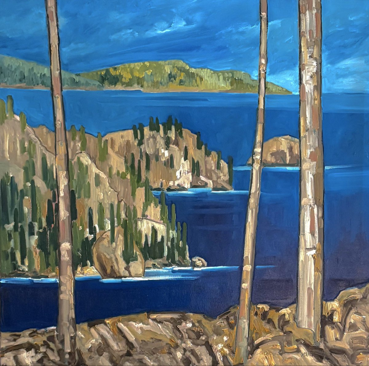 robert mcaffee tweet media