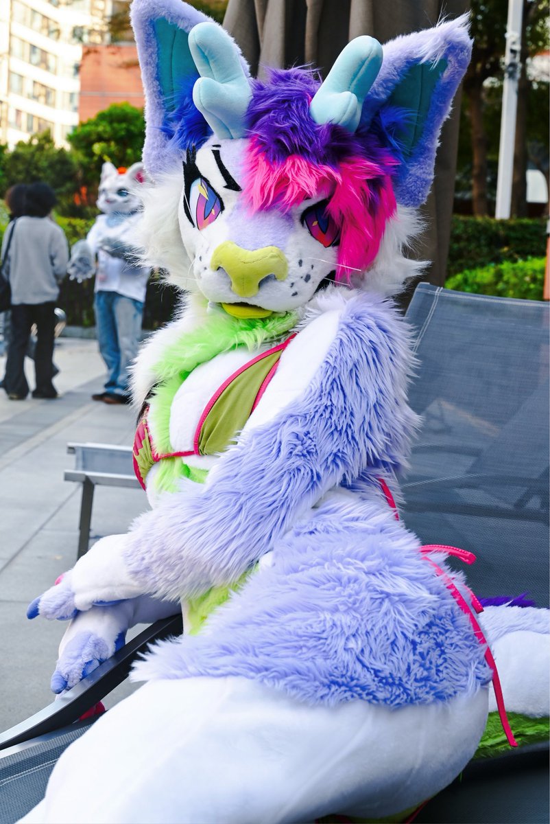 小猫咪游色 tweet media