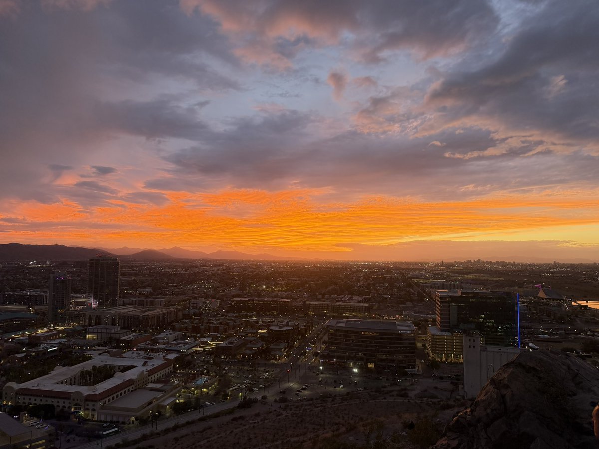 Rileigh Simon tweet media