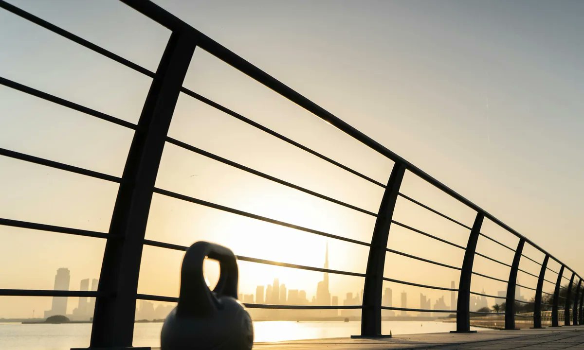 Anthony Diaz 🦁 tweet media