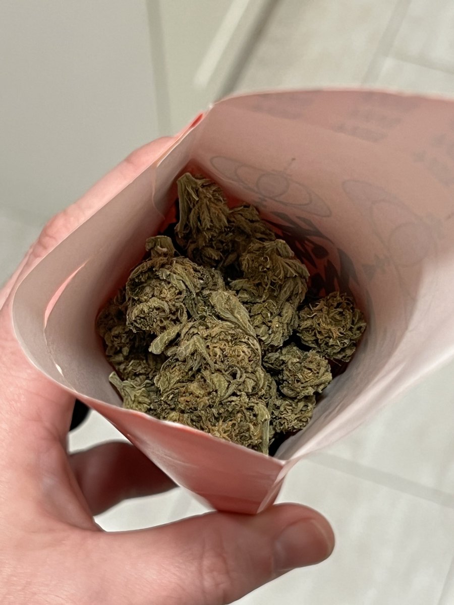 StonerDad's tweet image. Year of the horse and my lucky envelope is full of grass 🐴 🌱