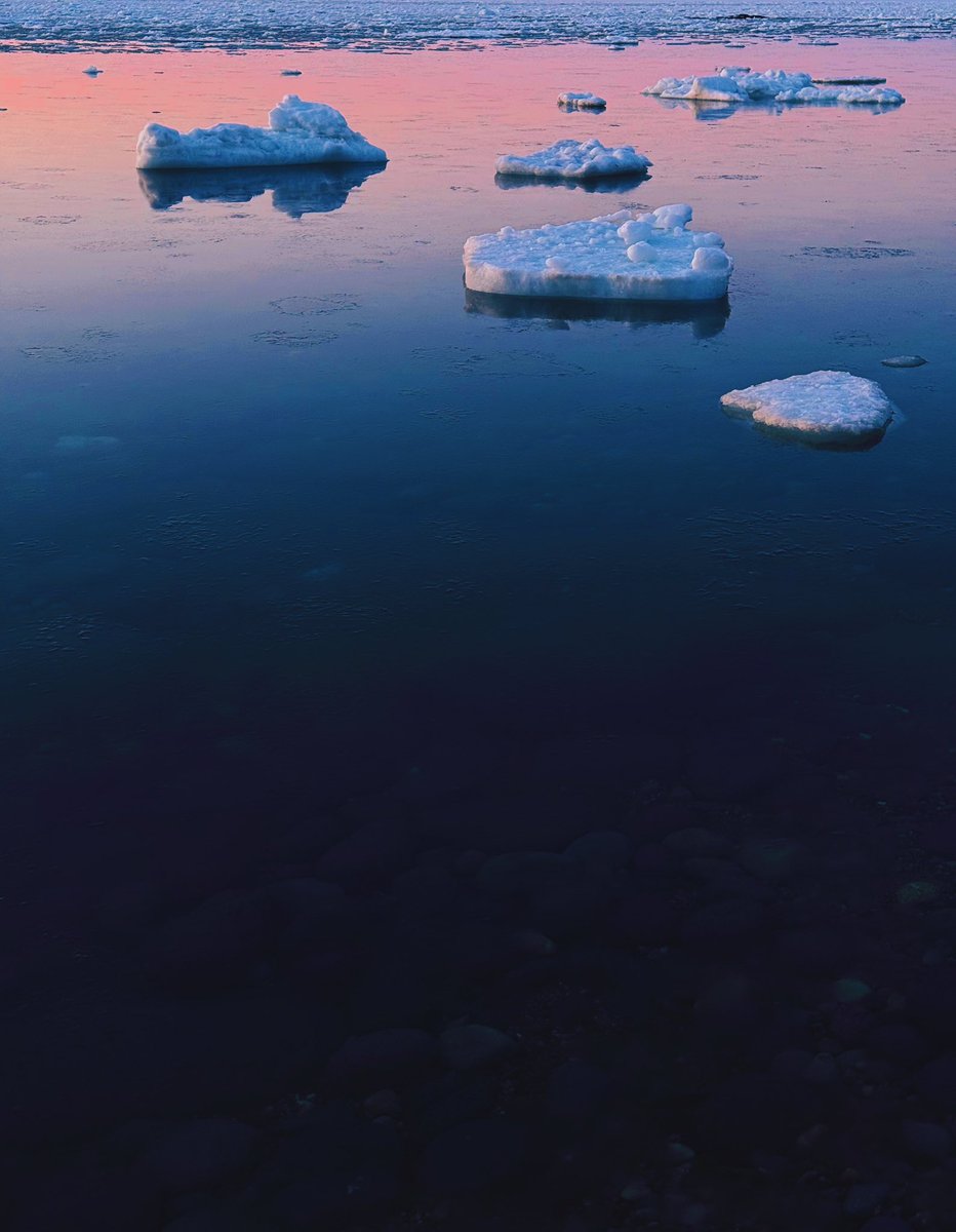 Natsuho Yamanaka tweet media