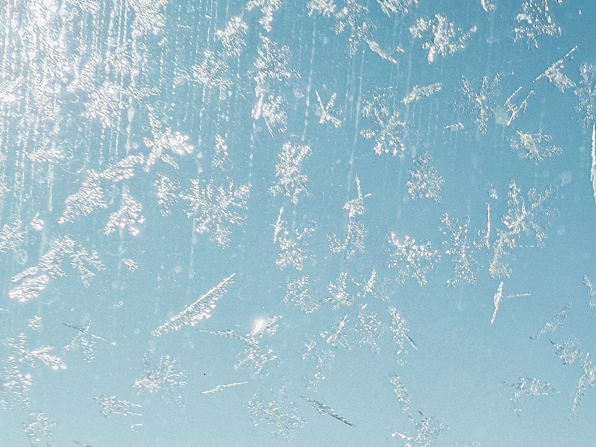 Natsuho Yamanaka tweet media