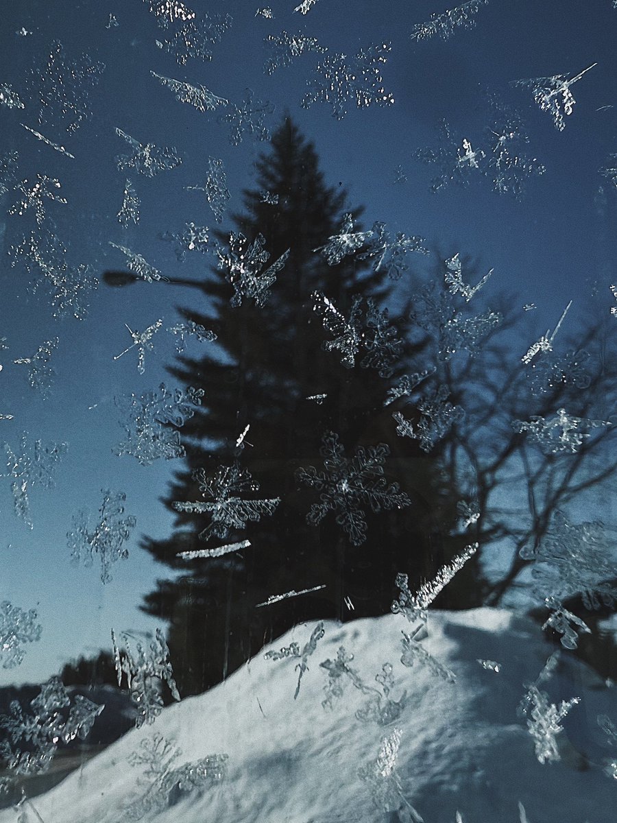 Natsuho Yamanaka tweet media