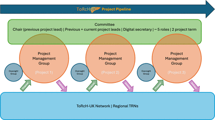 ToRcH-UK tweet media