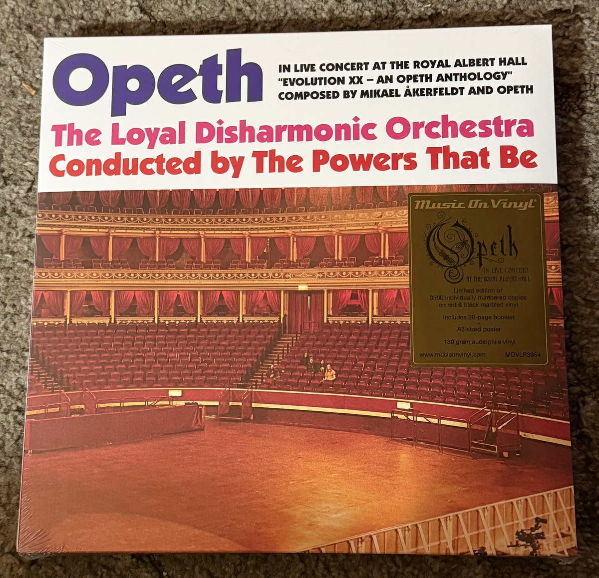 Ian with an 👁️ tweet media