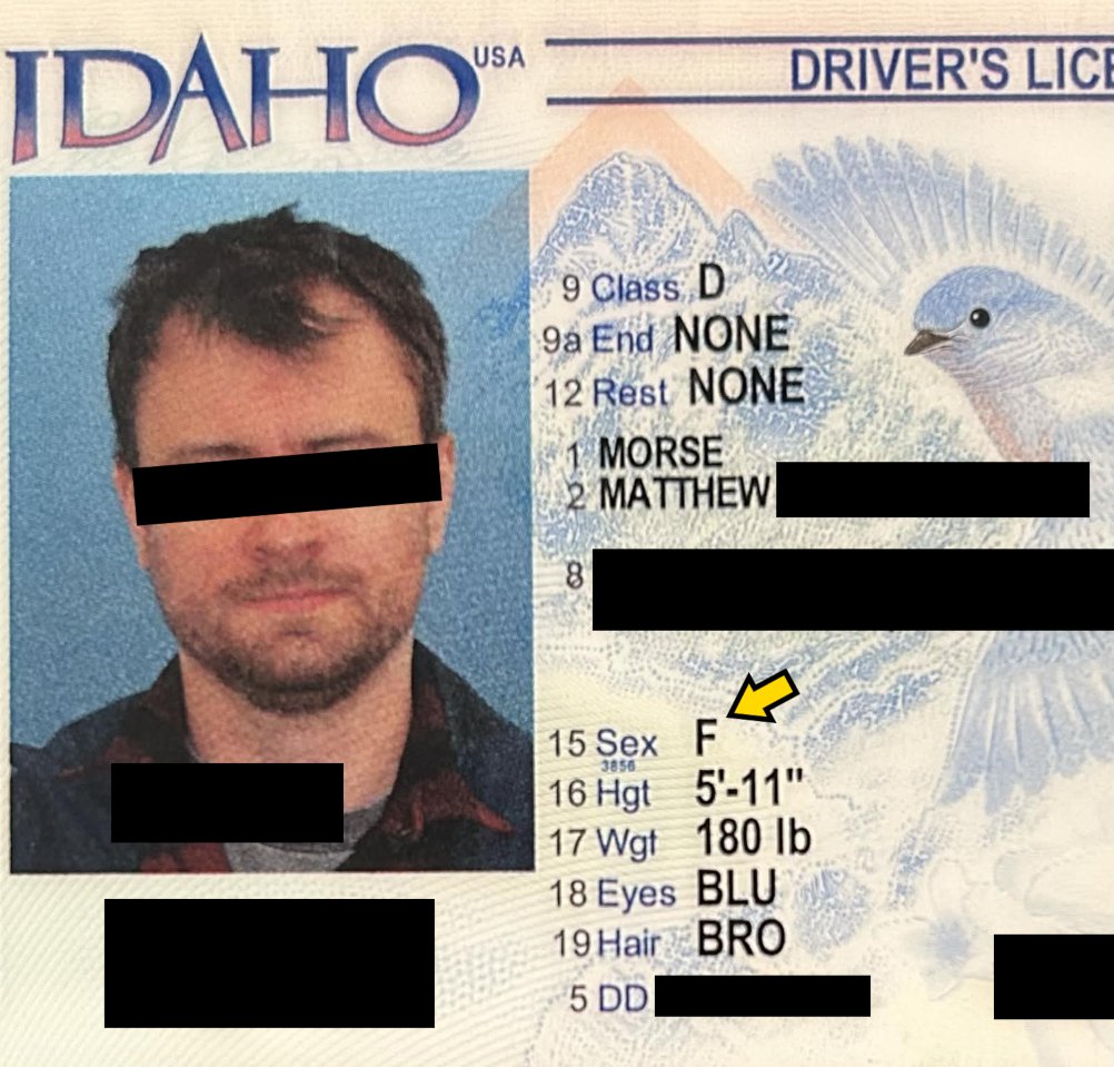 Matt Morse tweet media