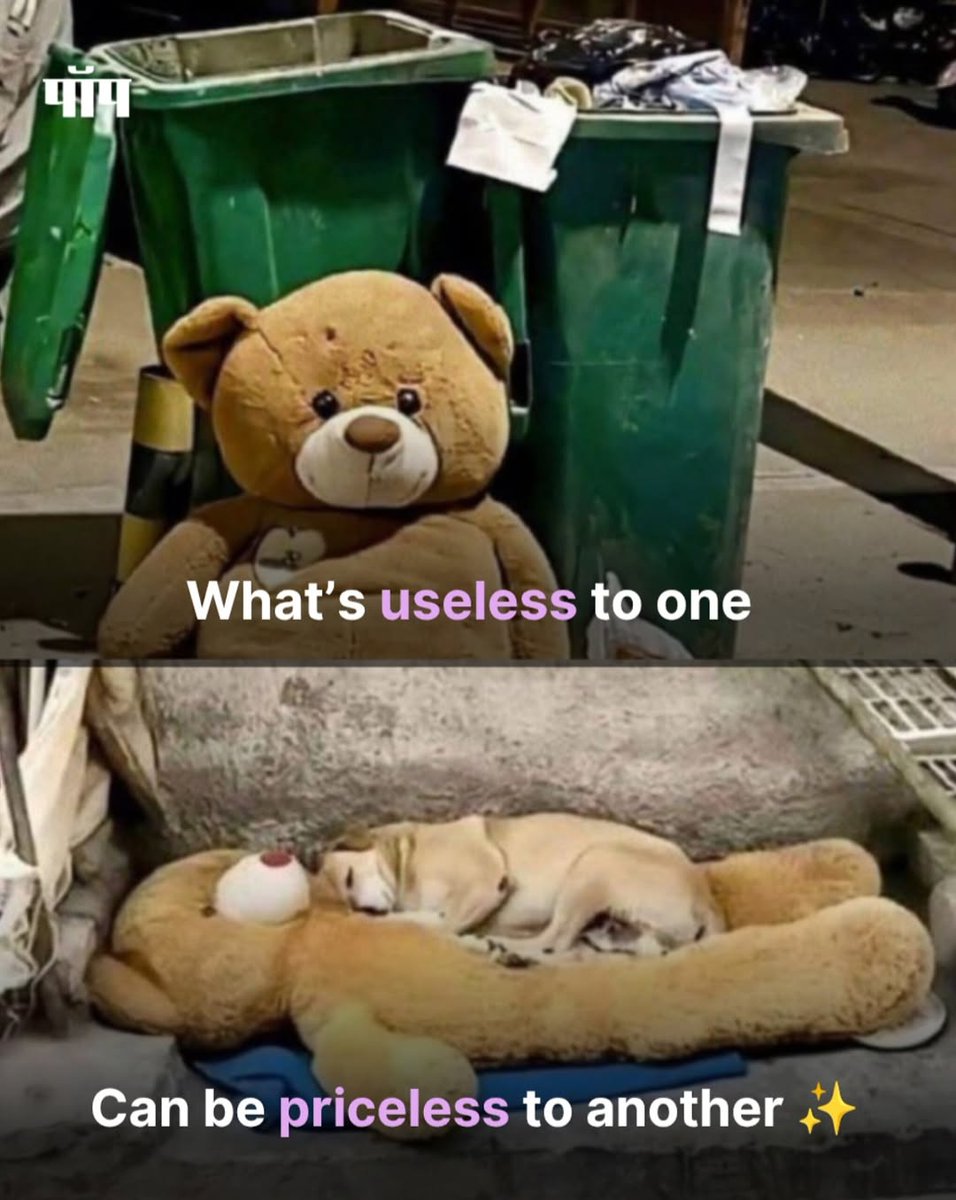 Mind Essentials tweet media