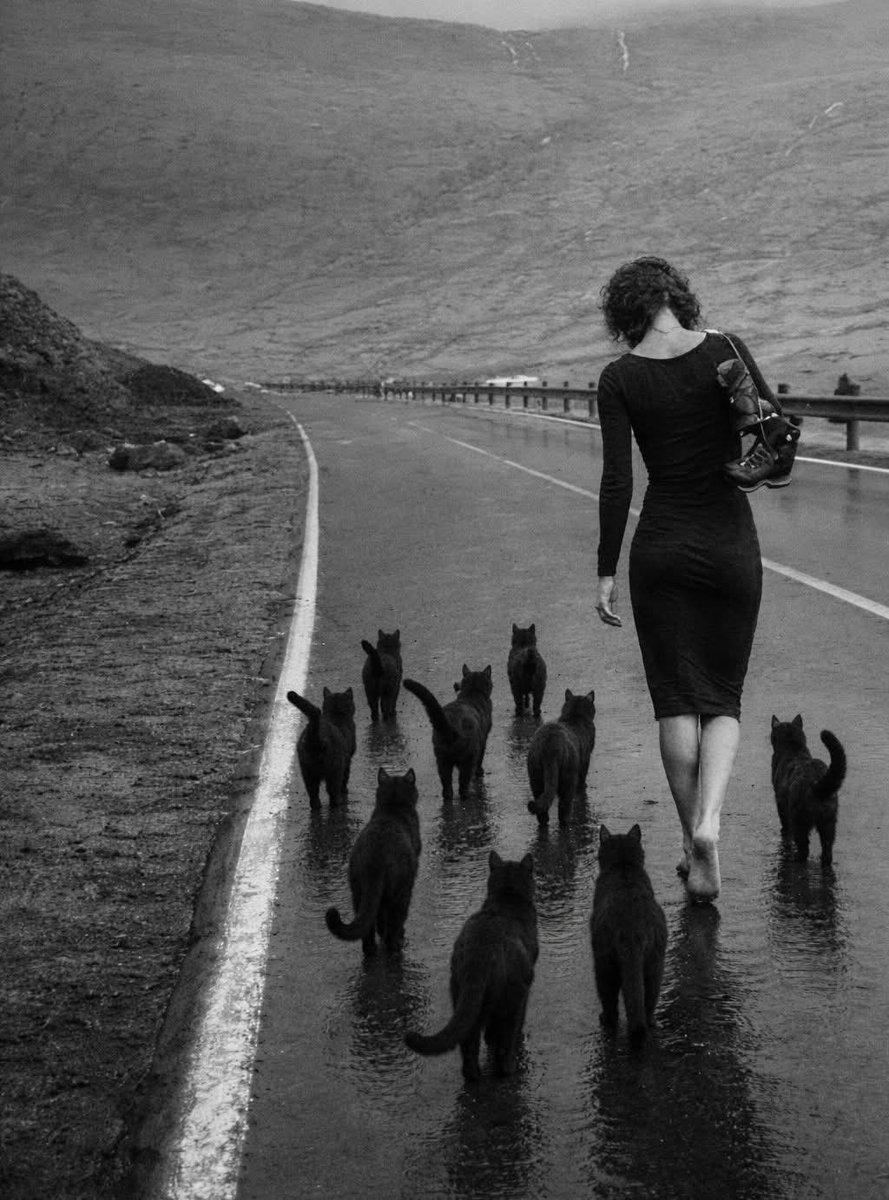 «Lorsque le crépuscule tomba et que les esprits errants quittèrent le pays de la Mort pour s'aventurer sur les chemins du Silence, je créai à partir de rien l'objet pervers de mon Amour le plus pur».
—Renzo Novatore

Øl' Øch - La danse des chats noirs
drive.google.com/file/d/1wpJe8z…