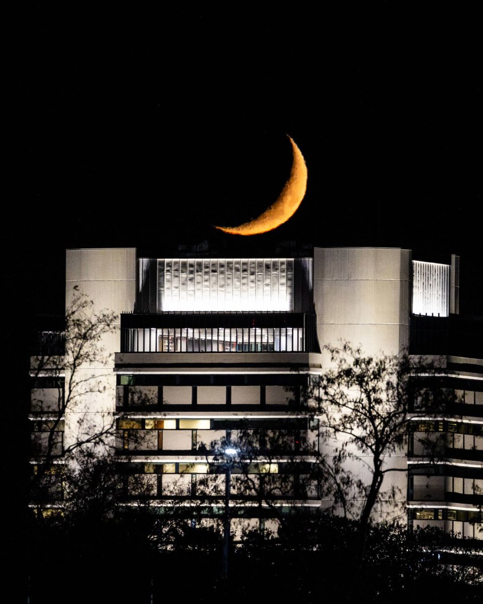 HofstraU's tweet photo. Ramadan Mubarak to all who celebrate! May this month bring peace and blessings. 🌙🦁 https://t.co/nazCZnRdLT
