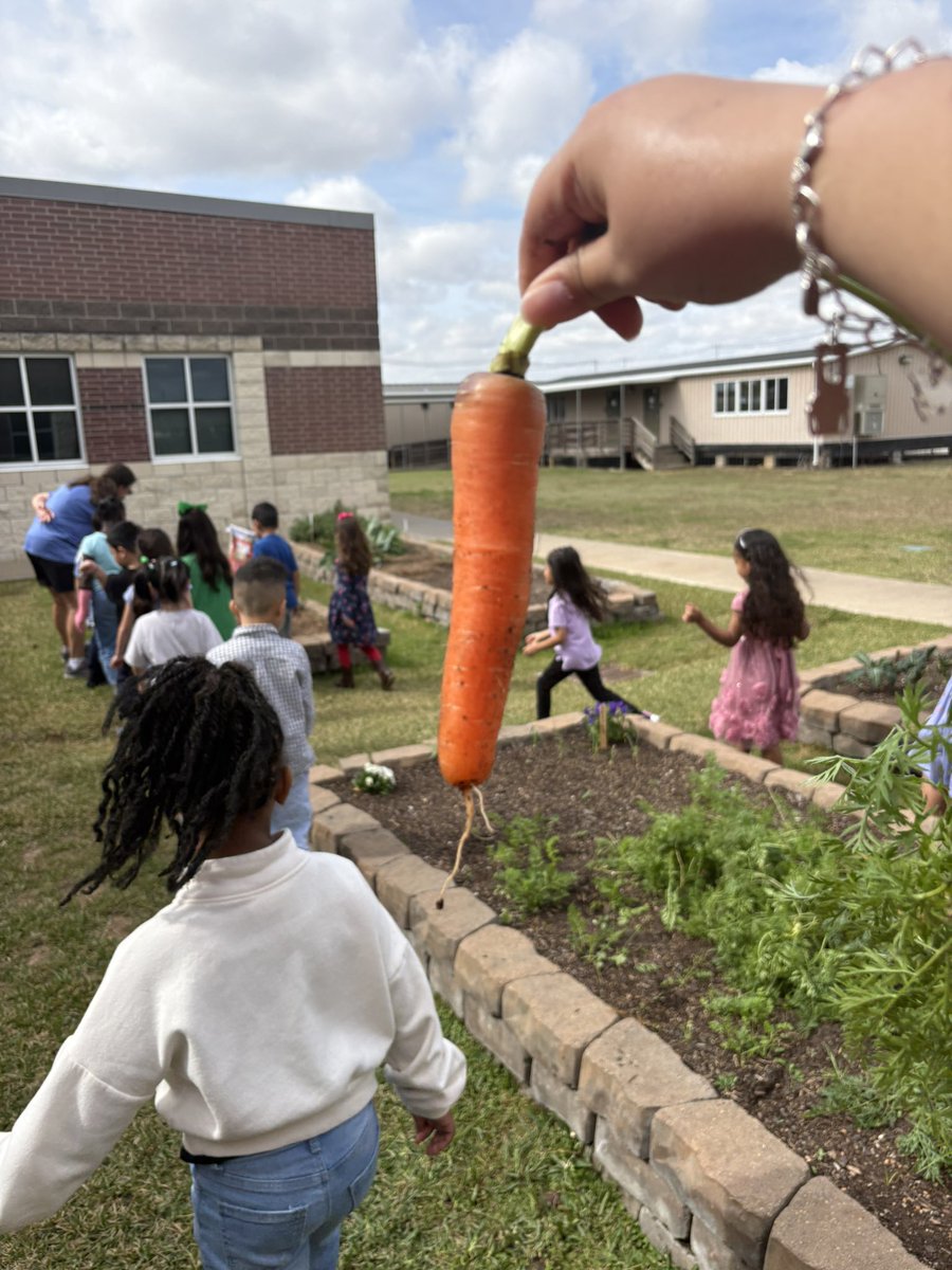 MissFoster👩🏻🏫 tweet media