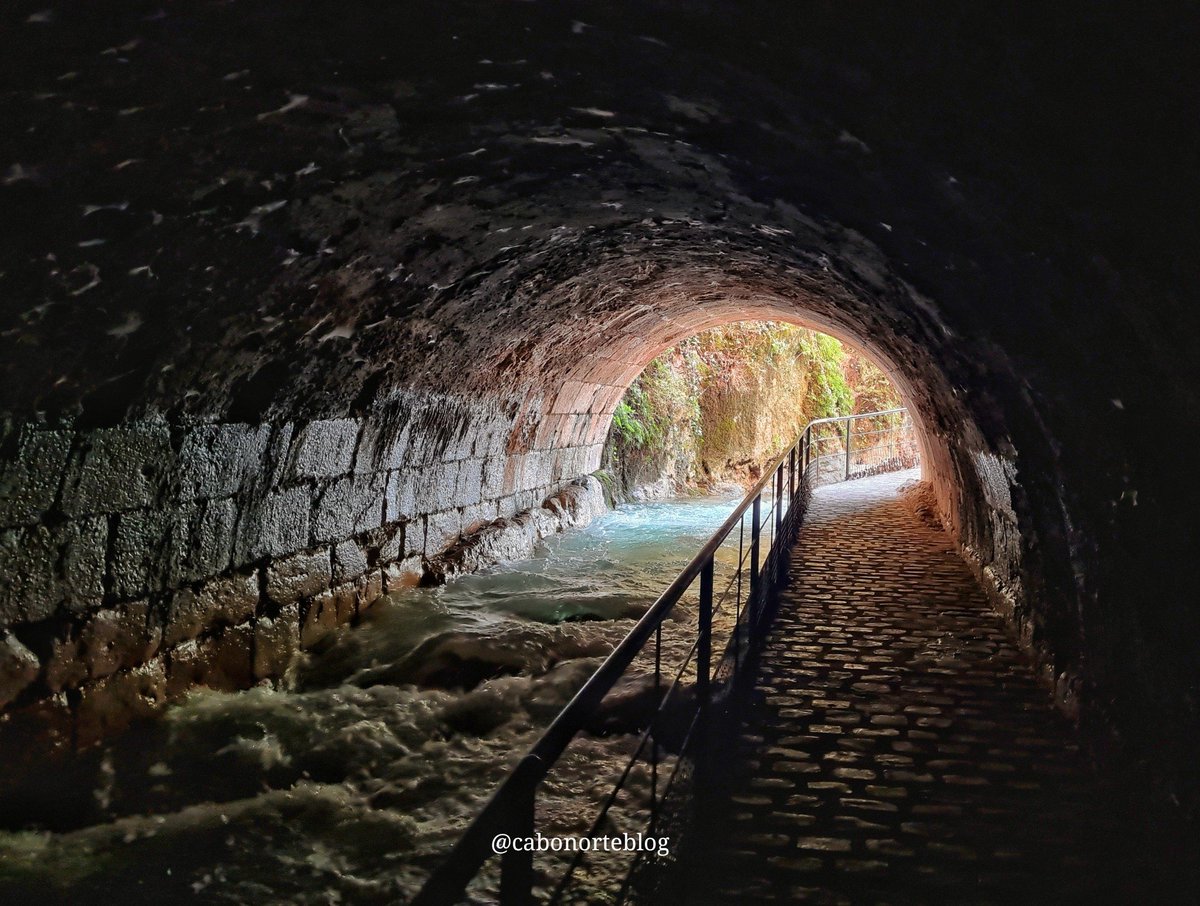 cabonorteblog tweet media