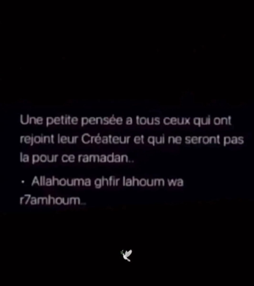 Casawi 🇲🇦 tweet media