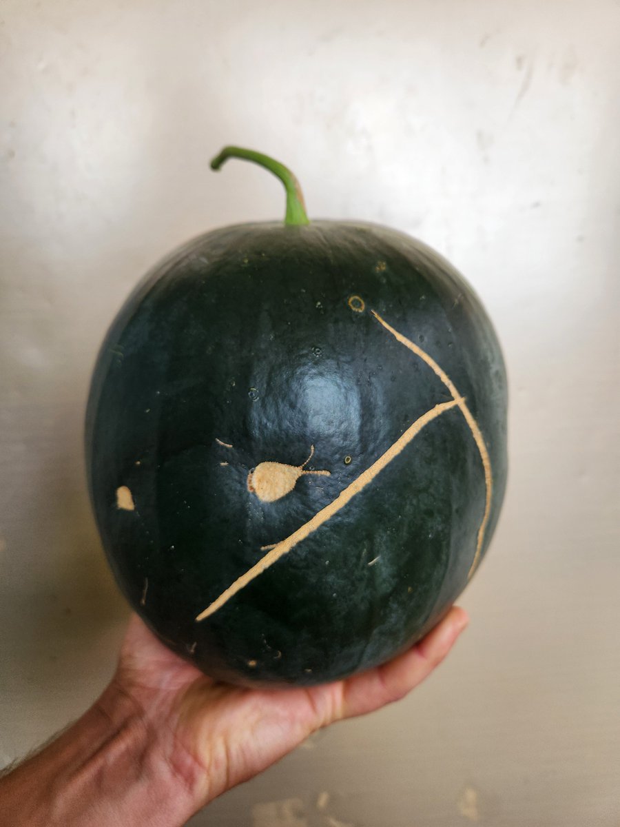 you city dwellers are really missing out on the realities of life