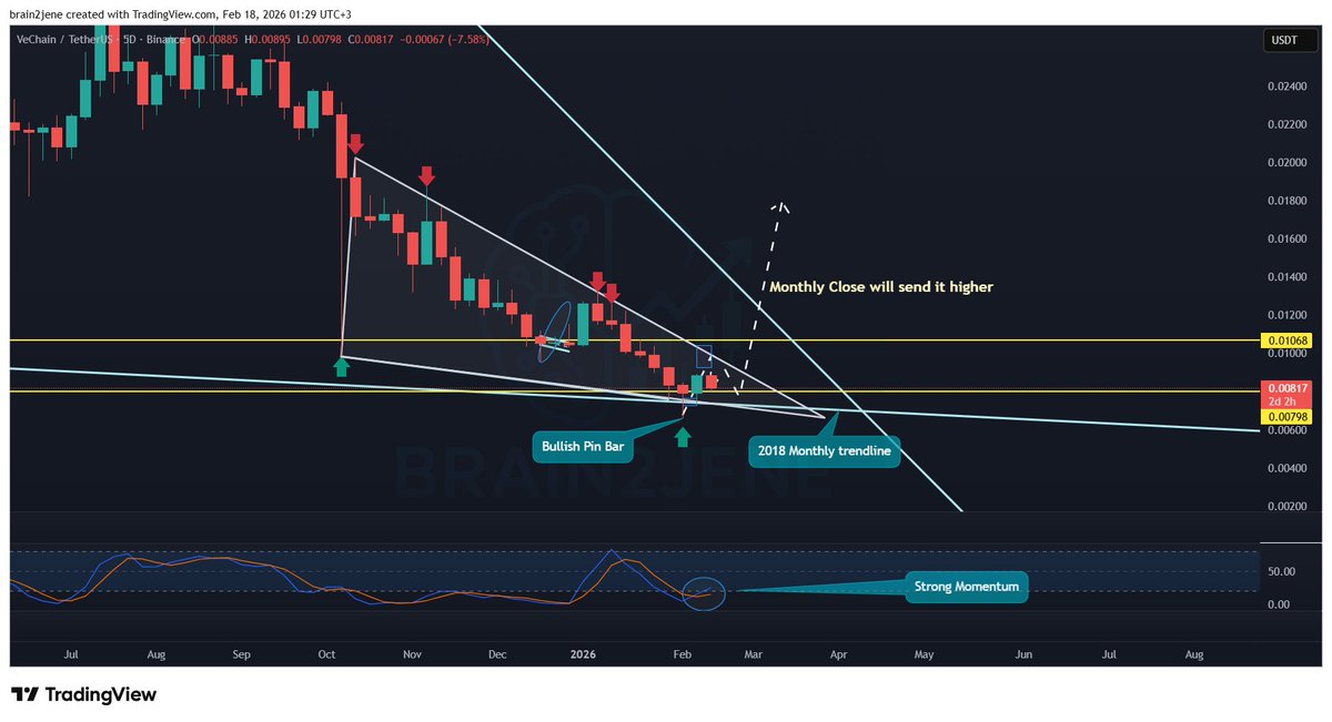 Brain2jene💫 tweet media