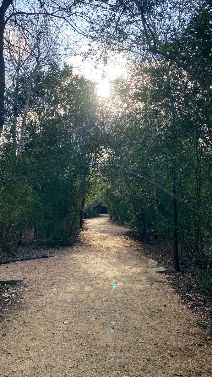 🚨  Tuesday Web3 Split.

Web3 travels and no better place for it than nature.

Sometimes you disconnect so you can reconnect.

Keep chasing what you want to see more of.

One day you will catch it or it will catch you.

Best day striving for your next wins.🫡🏆