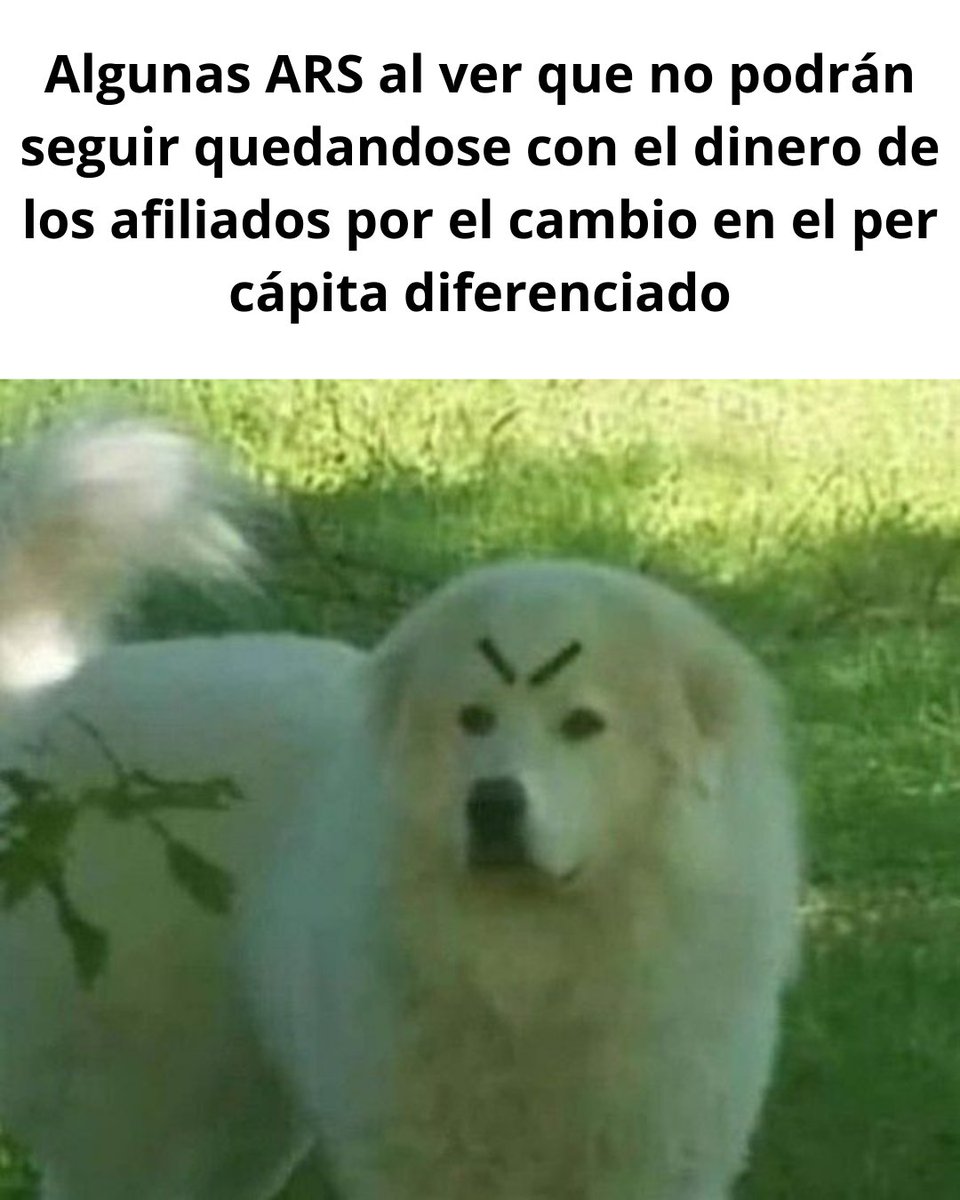 angiegonz158's tweet photo. el per capita no es imposición porque CNSS esta implementando lo q dise la ley en el artículo 169 asi q no hay dictadura ni na. el cambio dará mejor cobertura al sistema y a los afiliados sobretodo a la poblacion en riesgo https://t.co/2iR3q4T3Yg