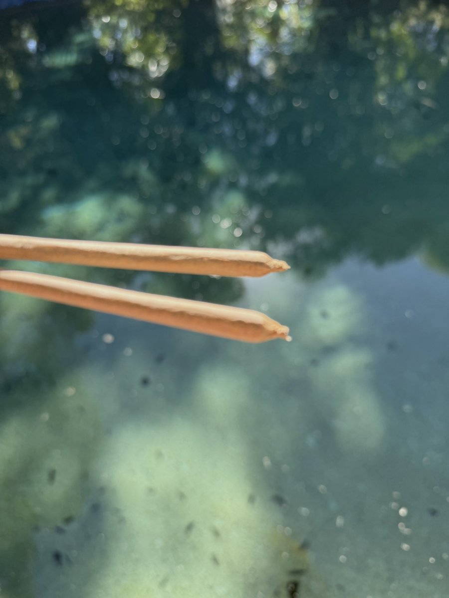 crazy jessie 🍃 tweet media