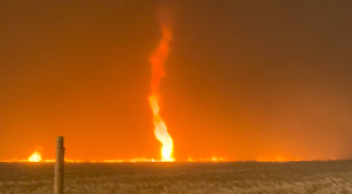 Reed Timmer, PhD tweet media