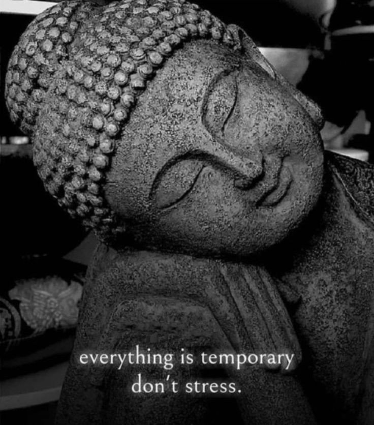 Man In Presence tweet media