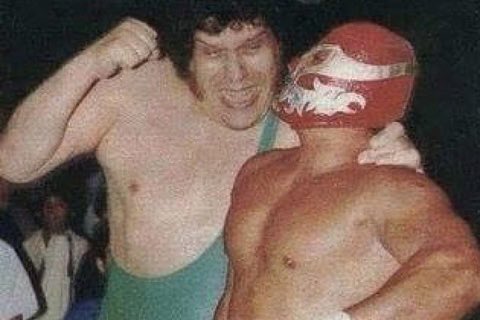 Fig Heel tweet media