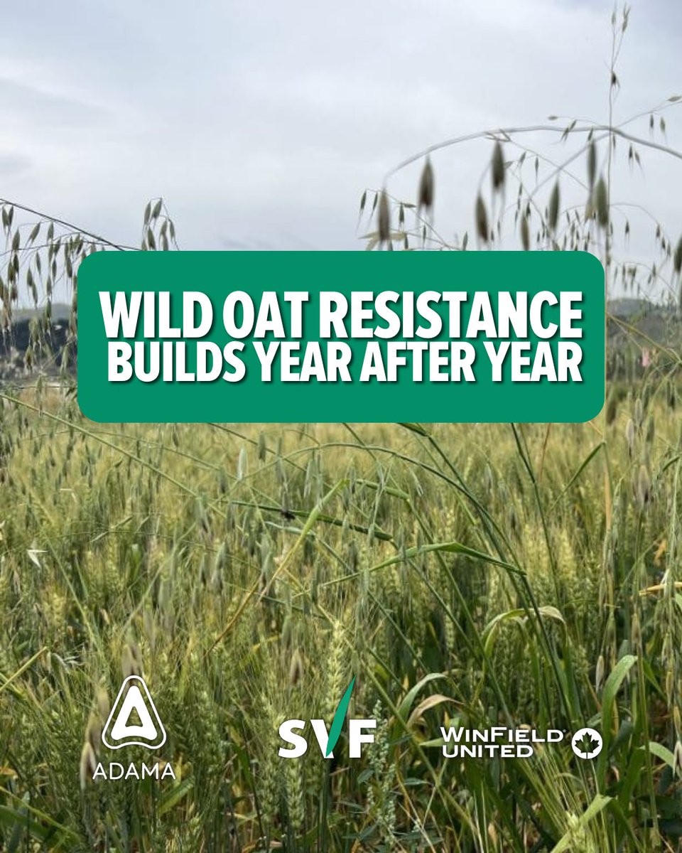 Sturgeon Valley Fertilizers Ltd. tweet media