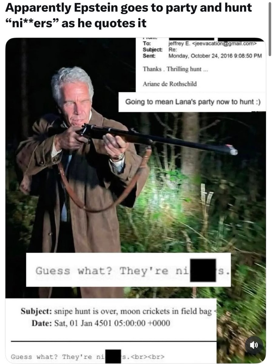 It appears Jeffrey Epstein used to hunt black people for sport.