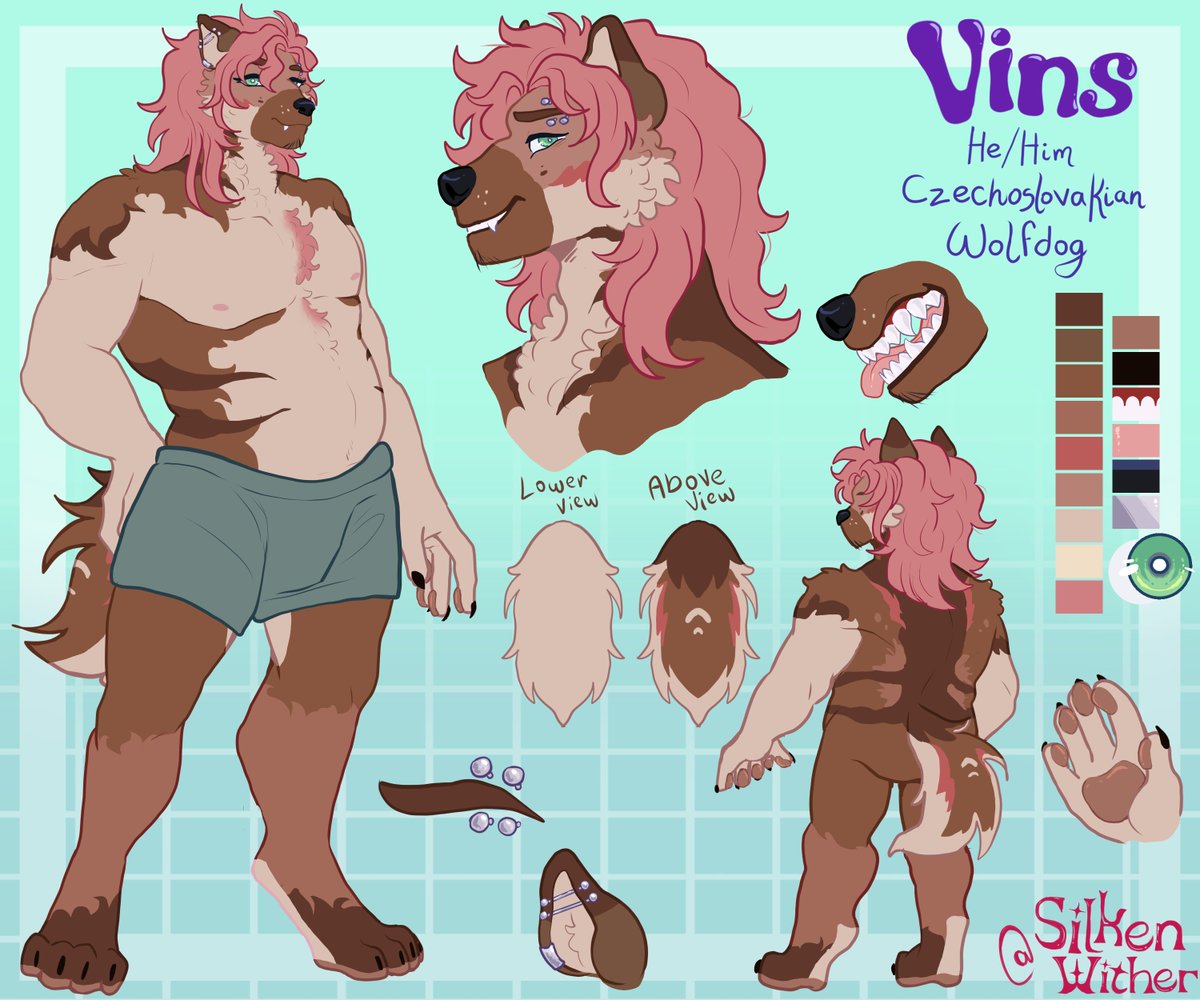 Vins 🇧🇪🐾 tweet media