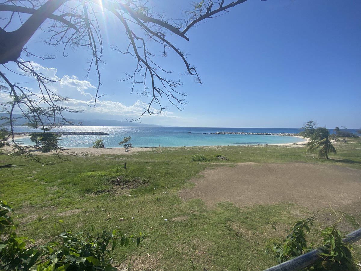 👑 THE JANKROW 🇯🇲🦅 tweet media