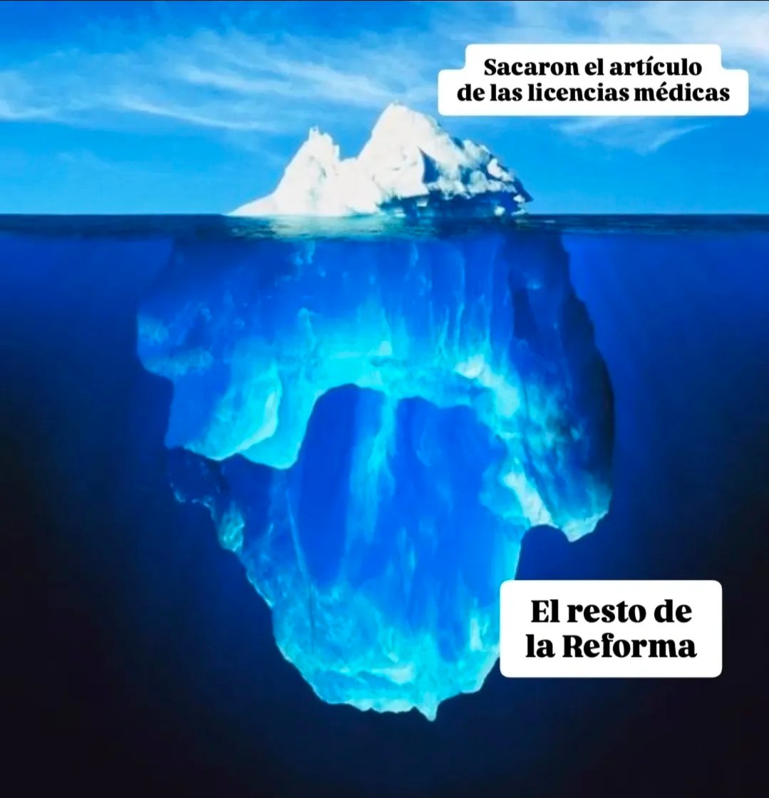 Alexis Cook (@alecook99) on Twitter photo 