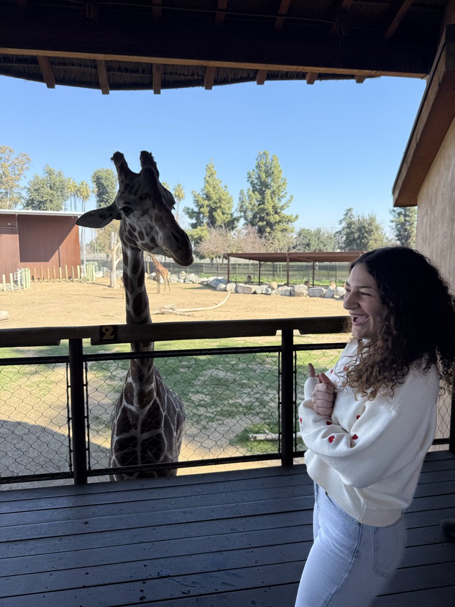 SUMMIT COLLEGIATE HIGH SCHOOL tweet media