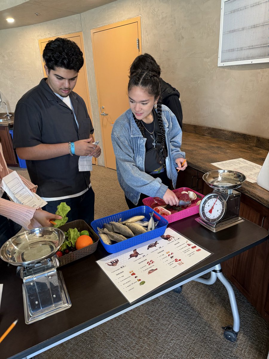 SUMMIT COLLEGIATE HIGH SCHOOL tweet media