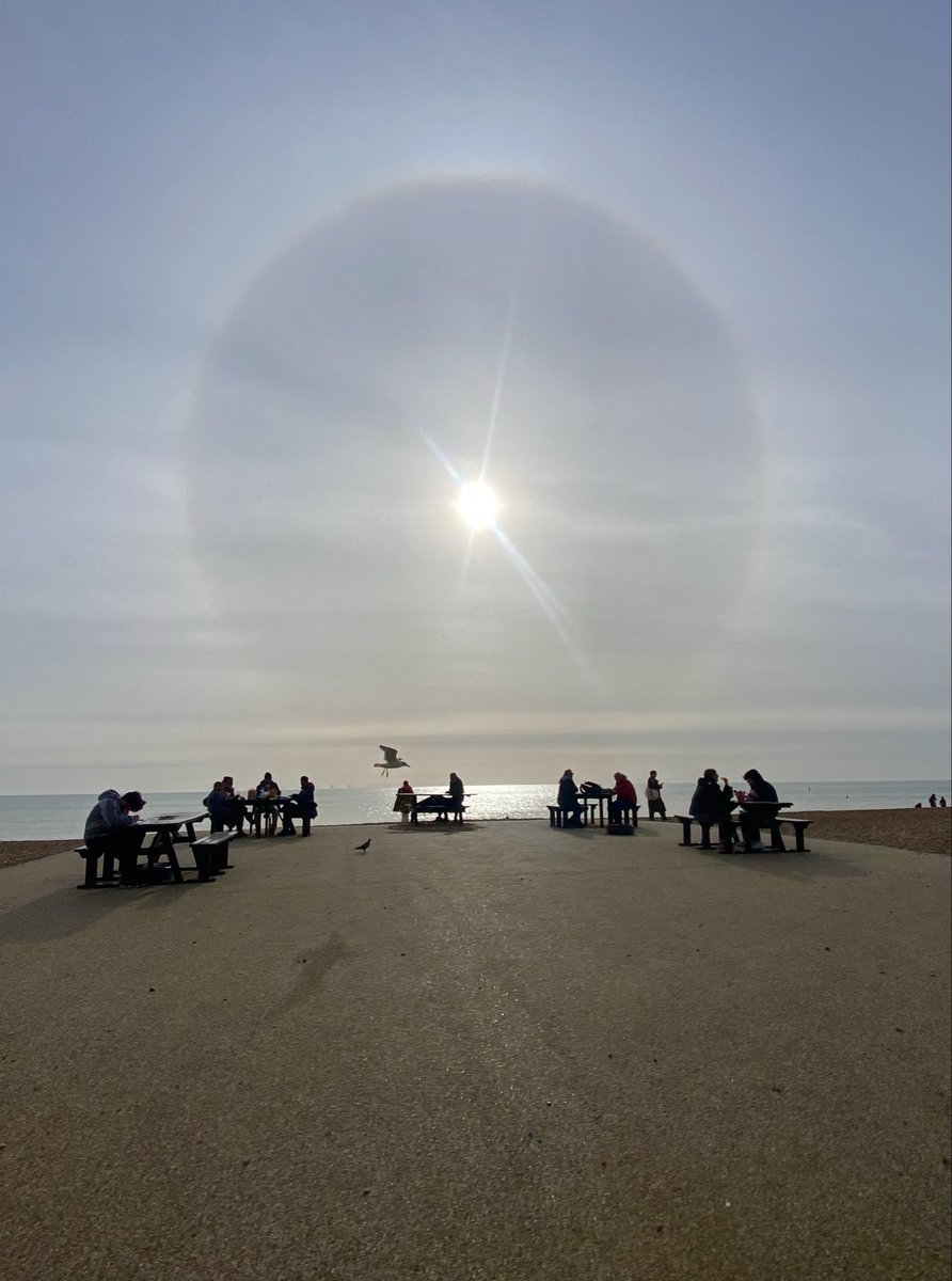 Brighton Beauty tweet media