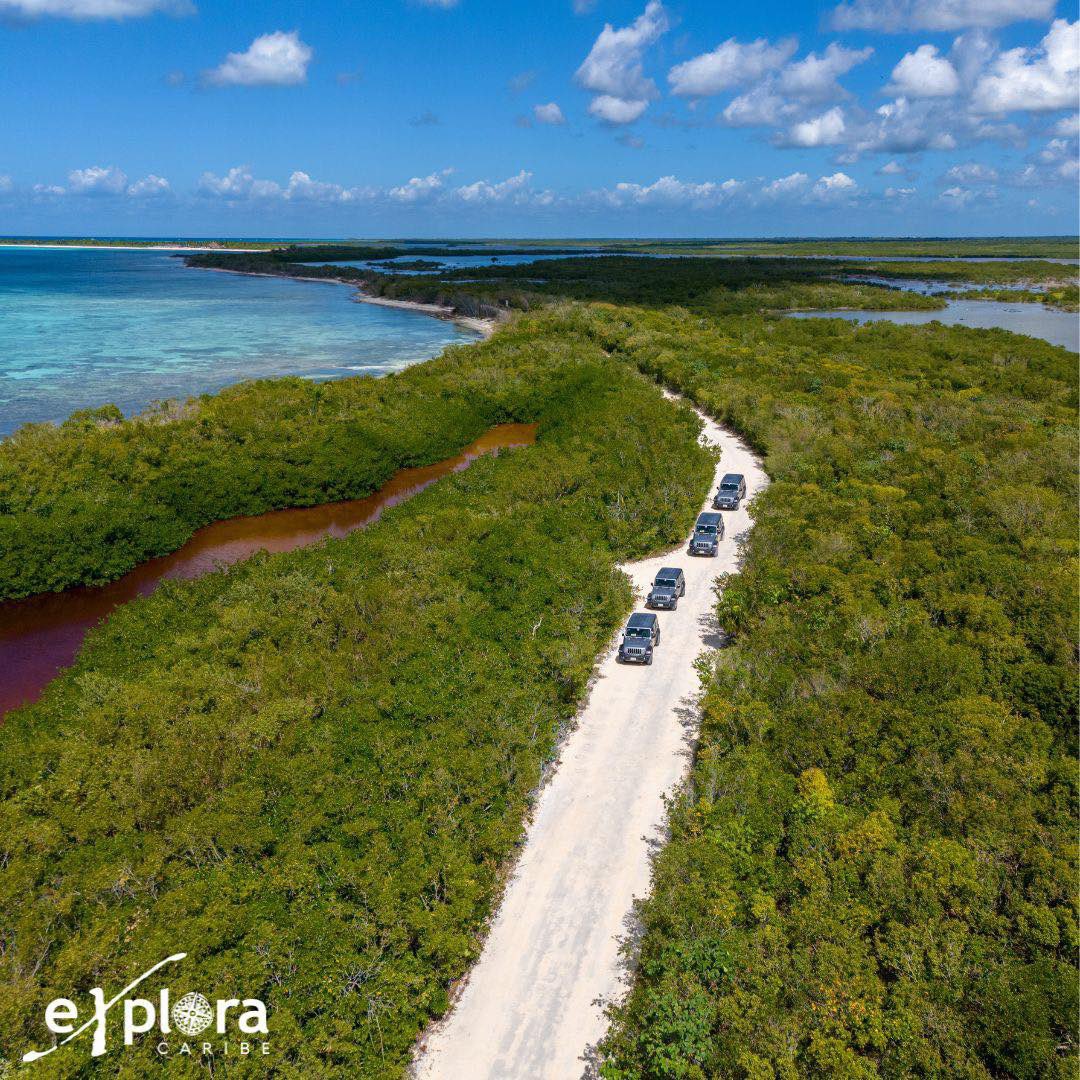 🌴 Cozumel, donde la belleza natural se respira en cada rincón. 🌊 Ven y conecta con lo mejor de la vida. 

#ExploraTours #GoExplora #Cozumel