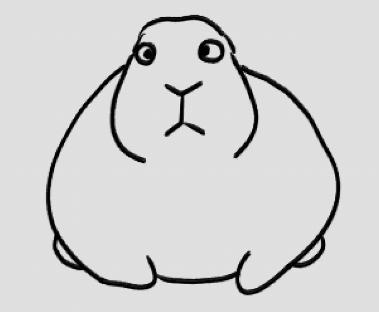 I like when bunnies look at you from the front and its just