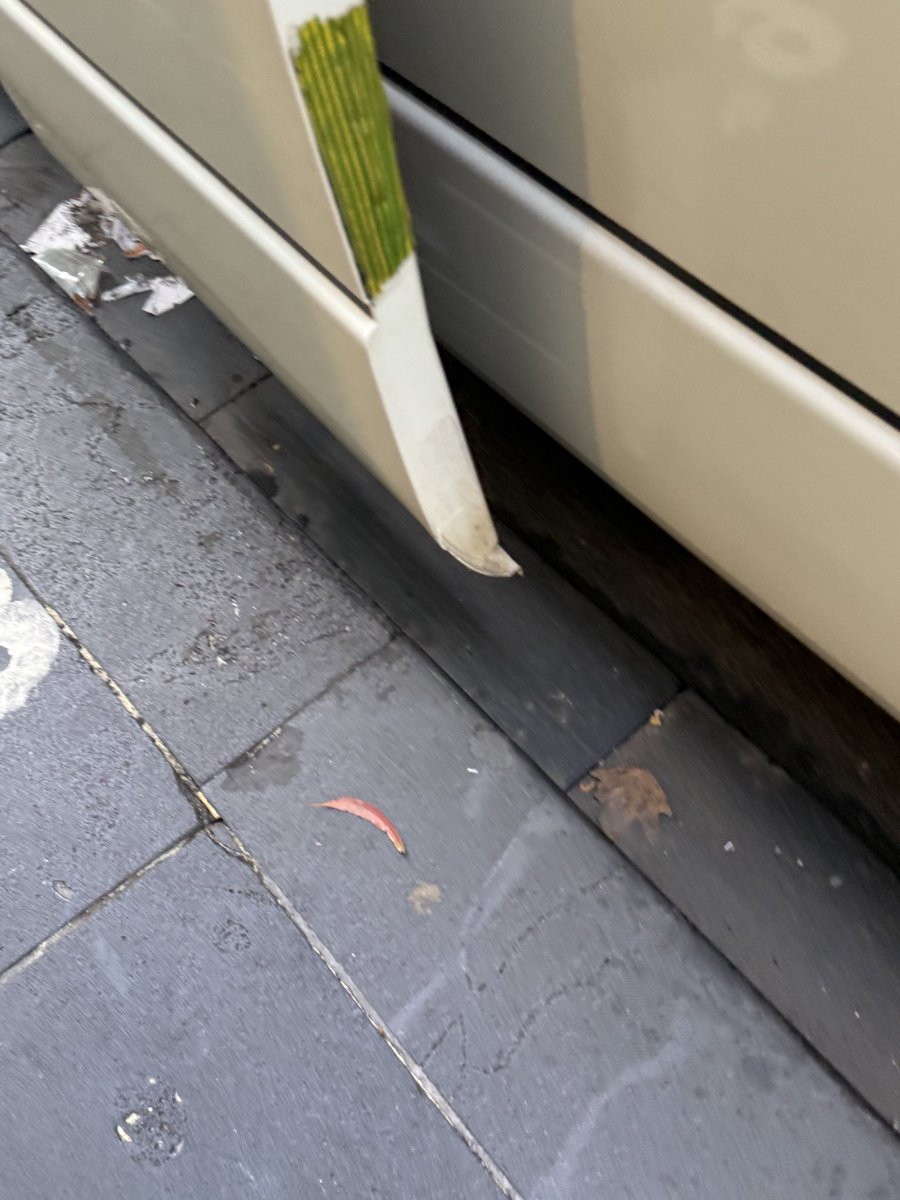 Xavier Verstegan tweet media