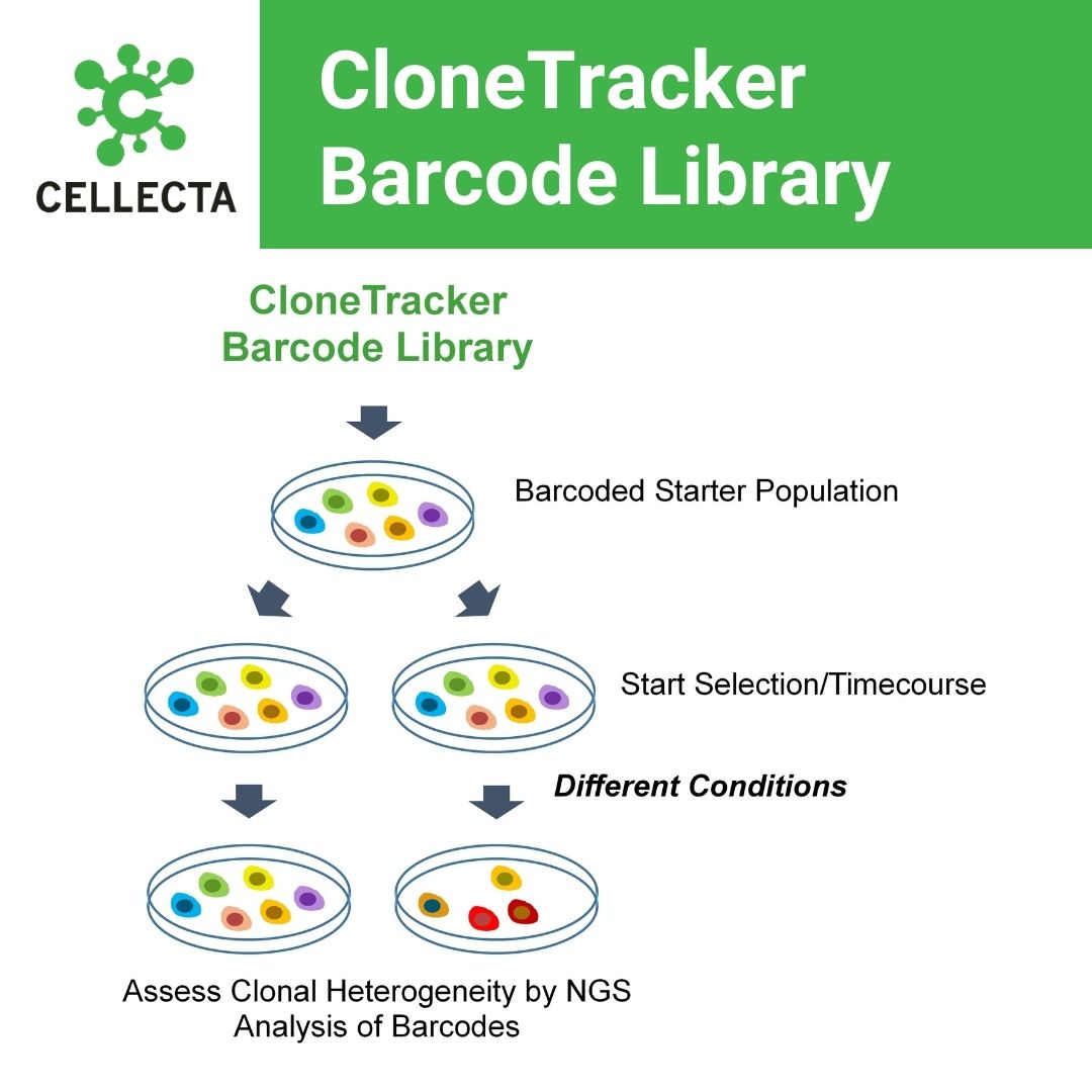 Cellecta, Inc. tweet media