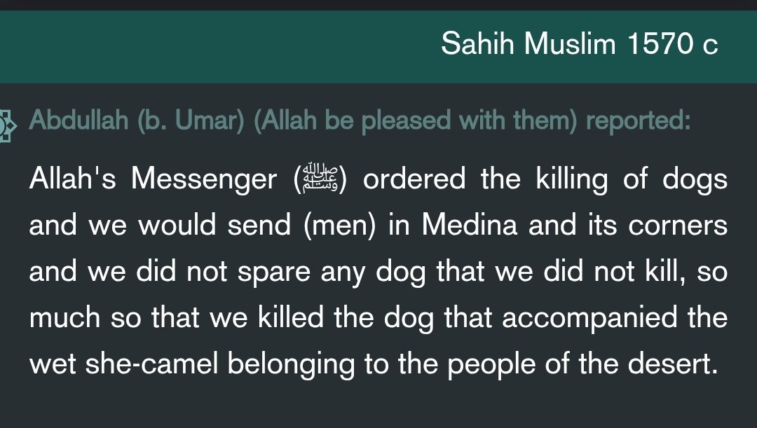 Unapologetic tweet media