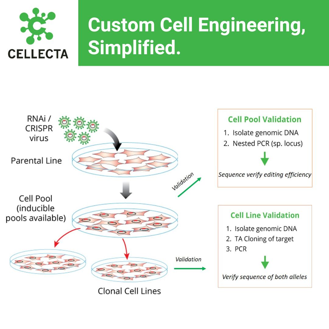 Cellecta, Inc. tweet media