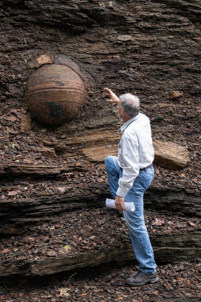 Ohio Large Rocks Across sections of the Ohio Shale in the United States 🇺🇸, enormous ...