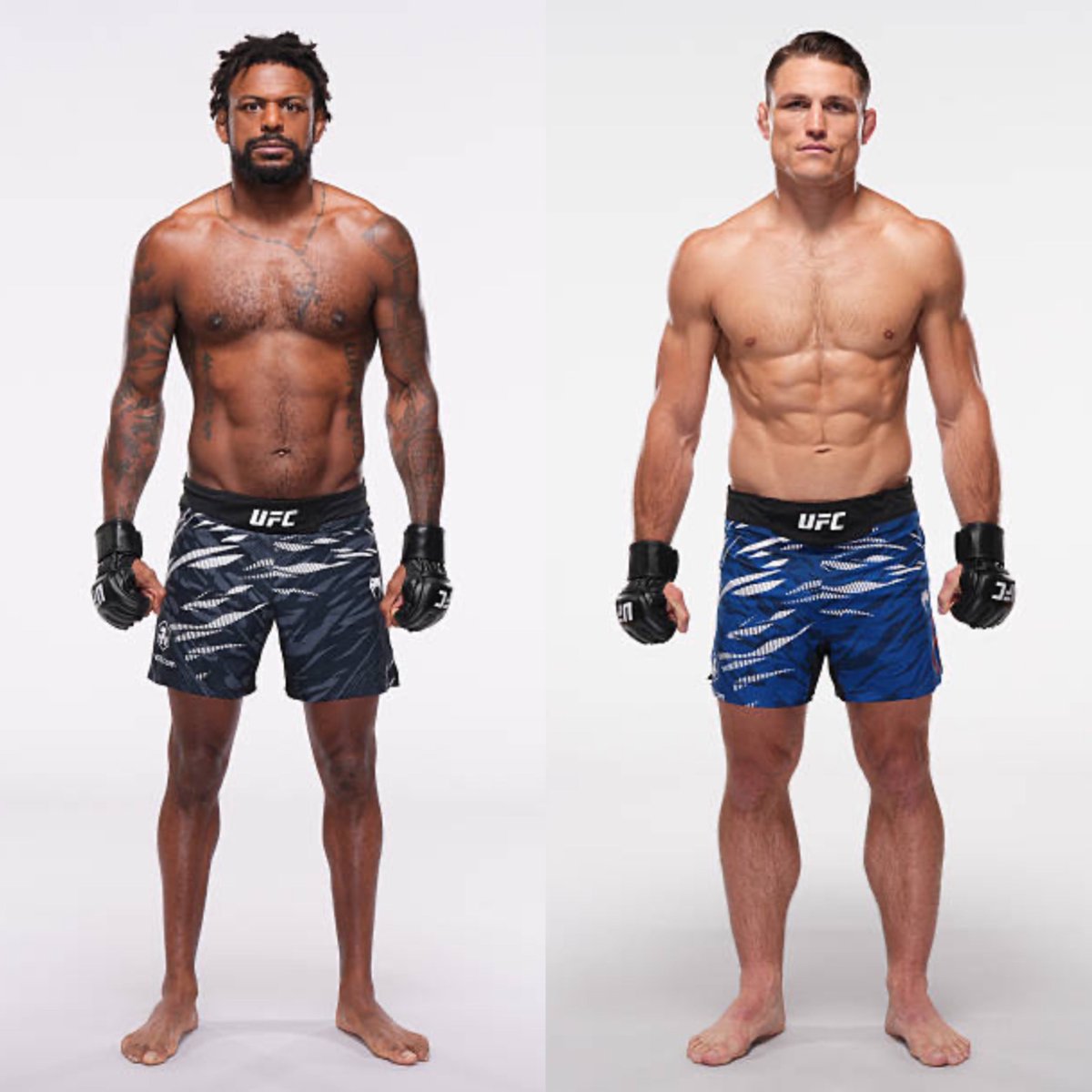 MMA Orbit tweet media