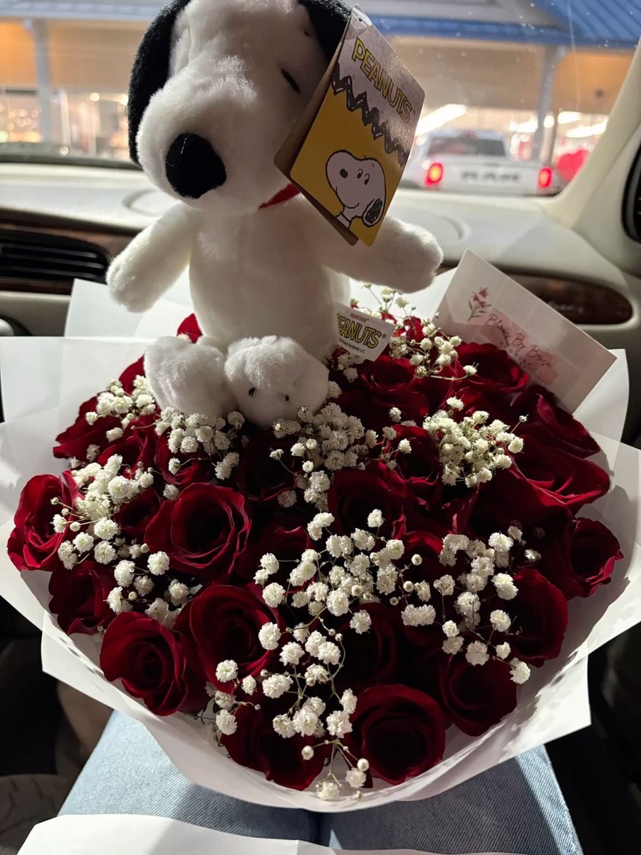 snoopyfever_'s tweet photo. https://t.co/6ZYsji13ld