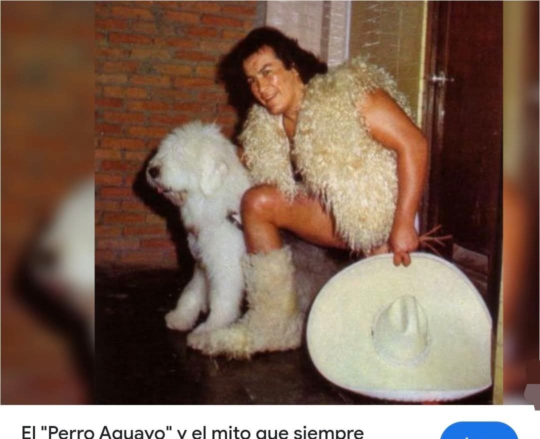 Germán Contreras tweet media