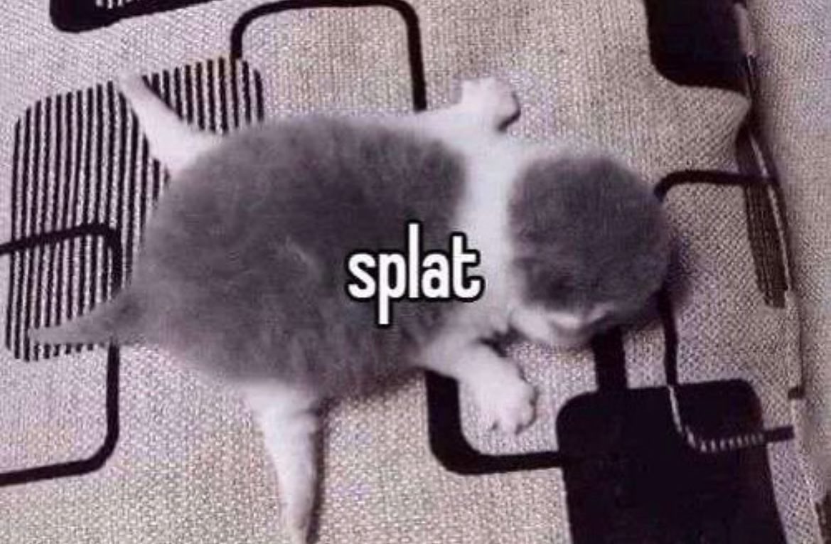 Pie 🐟 tweet media